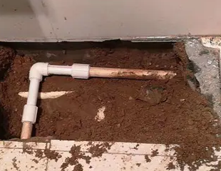 曲阳县测漏水哪家好