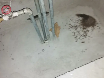 曲阳县卫生间测漏水价格明细