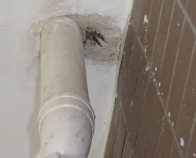 曲阳县漏水检测哪家好